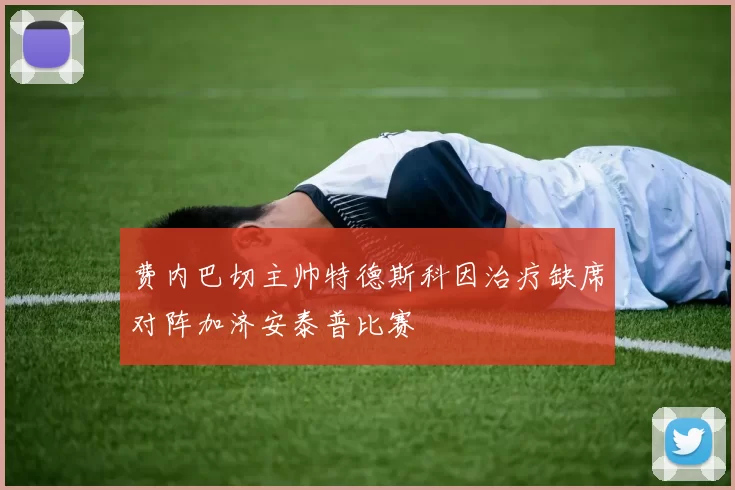 费内巴切主帅特德斯科因治疗缺席对阵加济安泰普比赛